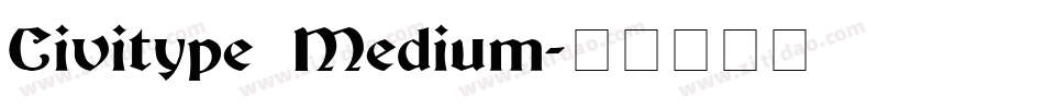 Civitype Medium字体转换